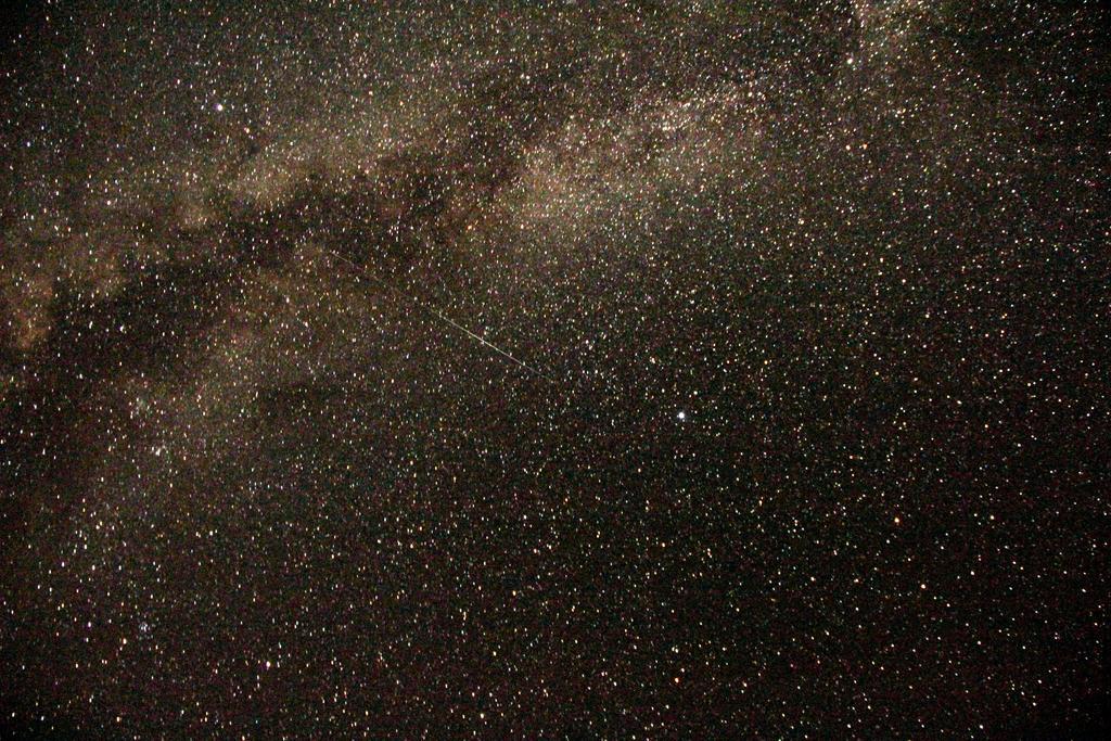 Wadi Rum Sleep Under The Stars エクステリア 写真