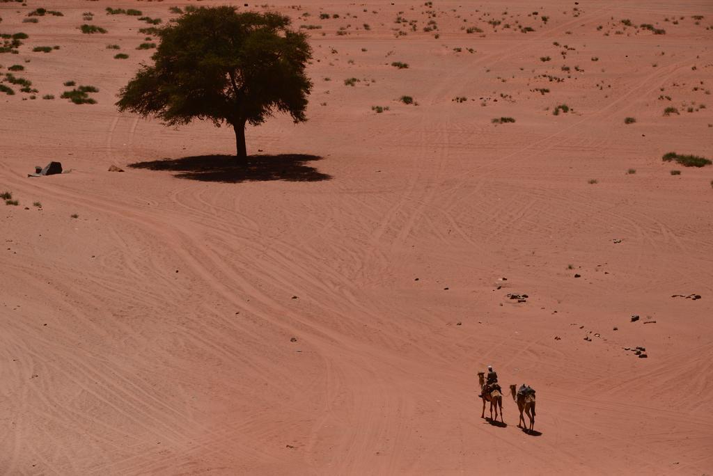 Wadi Rum Sleep Under The Stars エクステリア 写真